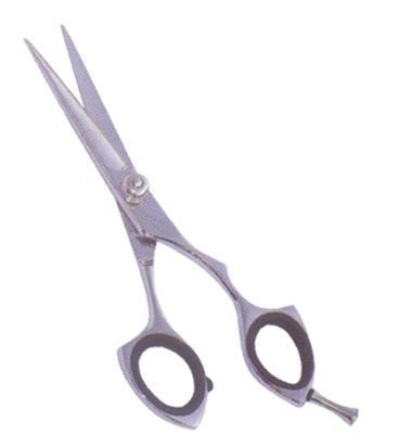 Professional Hair Cutting Scissors 